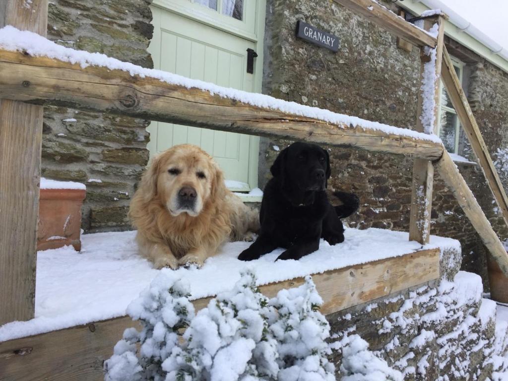 Trenderway Farm Bed & Breakfast Looe Bagian luar foto
