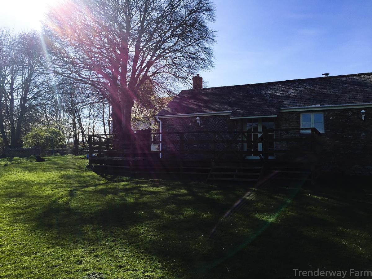 Trenderway Farm Bed & Breakfast Looe Bagian luar foto