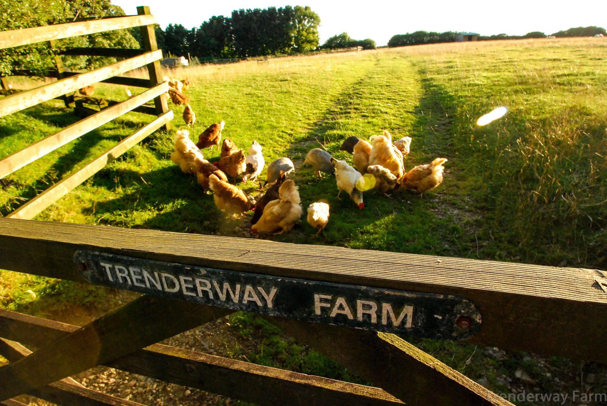 Trenderway Farm Bed & Breakfast Looe Bagian luar foto