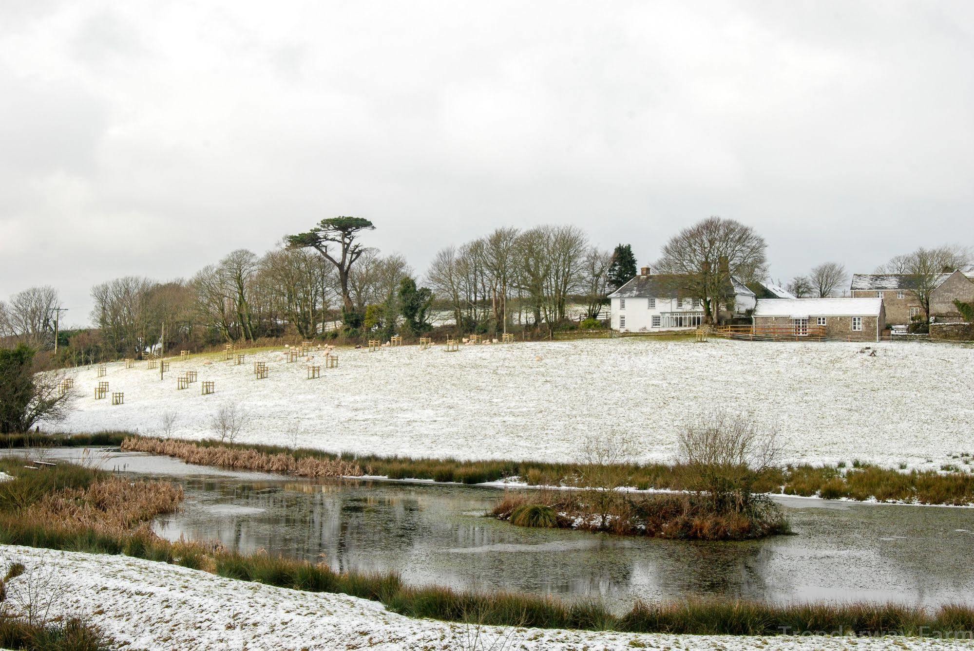 Trenderway Farm Bed & Breakfast Looe Bagian luar foto